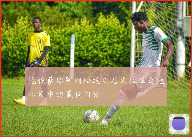 范德萨称阿利松适合尤文拉亚是他心目中的最佳门将